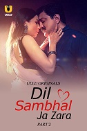 Watch Dil Sambhal Ja Zara Part 2 (2024) Online Full Movie Free